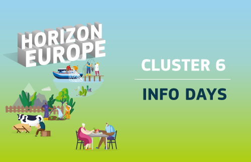 cluster 6